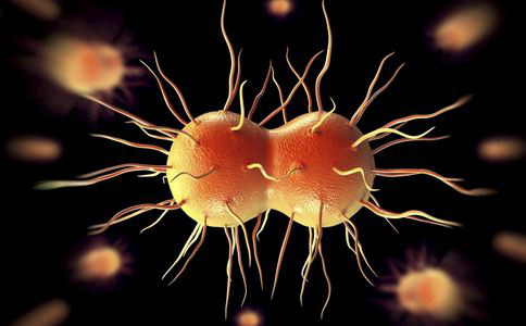 广州6月份艾滋病540例 艾滋病如何预防 广州艾滋病 如何预防艾滋病 艾滋病的传播